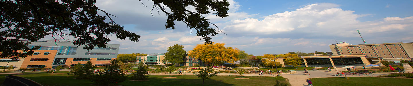 University of Wisconsin banner